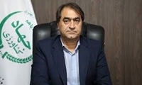 افزایش تمایل کشاورزان به کشت محصولات کشاورزی با اصلاح ارز ترجیحی/ خرید غیرضروری نهاده‌ها کاهش یافت